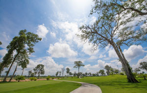 park land at long thanh vientiane golf course, laos