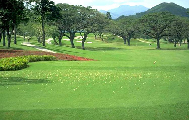 Tree-lined fairways Mimosa Golf Country Club, Clark, Philippines