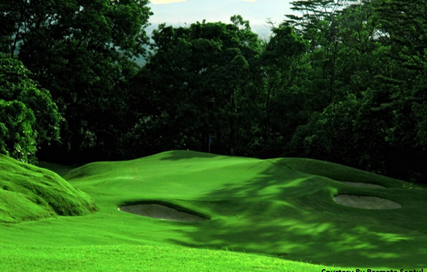 green surrounded by jungle, permata sentul golf, jakarta, indonesia