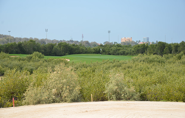 the thick rough at tower links golf club, dubai, united arab emirates