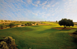 general view,  arabian ranches golf course, dubai, united arab emirates