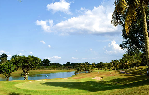 Palm Resort Golf Country Club Allamanda Course Green