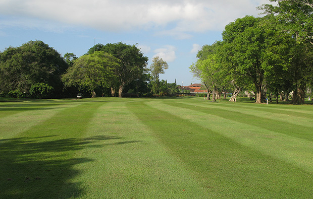 tree lined fairways bali beach golf club, bali