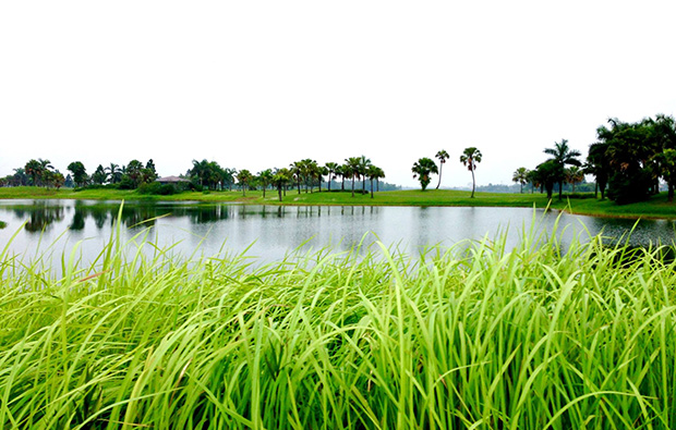 lake, heron lake golf course, hanoi, vietnam