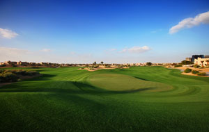 manicured green, the els club, dubai, united arab emirates