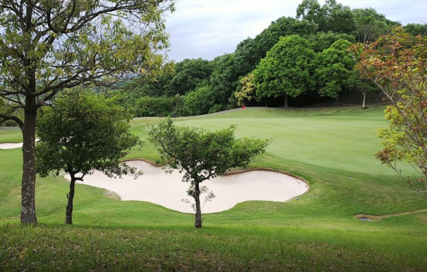 Ark Yokawa Golf Club Green