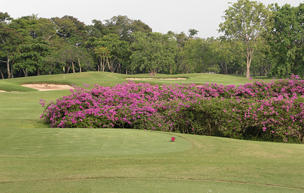 tee box, navatanee golf course, bangkok, thailand