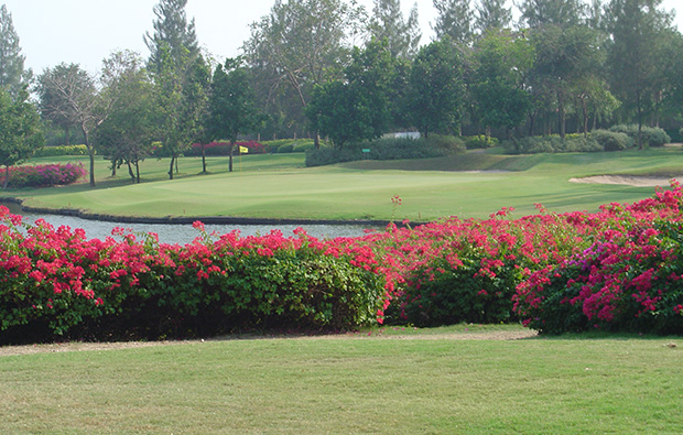 bougainvillea, the vintage club, bangkok, thailand