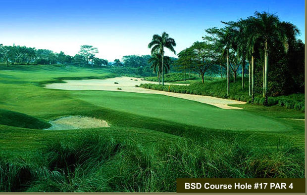 Damai Indah Golf Country Club BSD Fairway