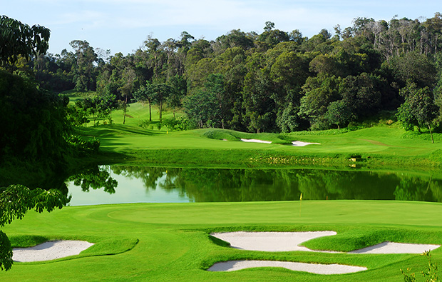 jungle, ria bintan golf club, bintan, indonesia