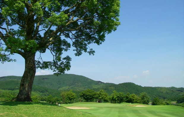 Fukuoka Kokusai Country Club Fairway