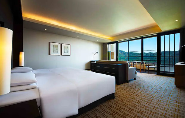 Hyatt Regency Hakone Resort And Spa - room