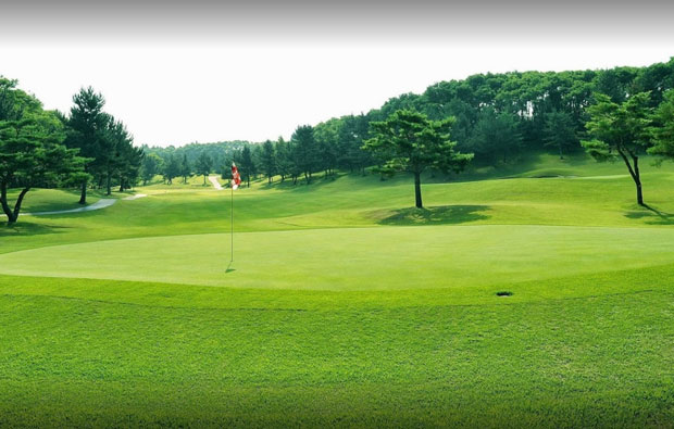 Matsushima Chisan C.C. Sendai Course Green