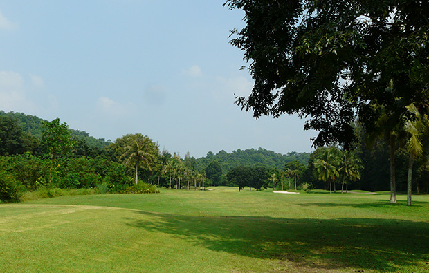 trees along fairway, treasure hills golf club, pattaya, thailand