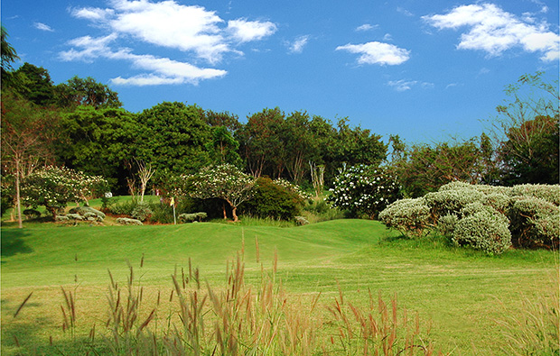plants and trees, rayong green valley country club, pattaya, thailand