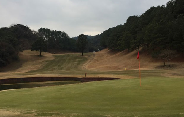 Satsuki Golf Club Tenpai Course Green