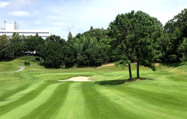 Shinyu Country Club Approach