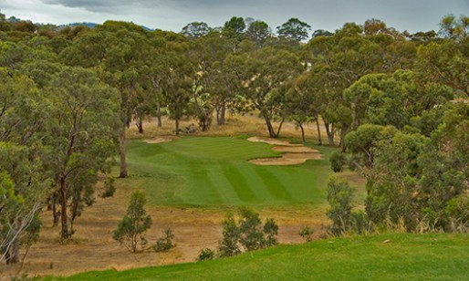 Aerial view Tanunda Pines Golf Club