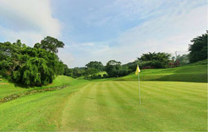 newly renovated new greens and tee box of champions golf course, singapore