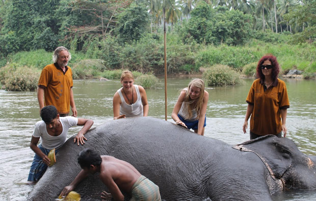 Elephant Orphanage Pinnawela