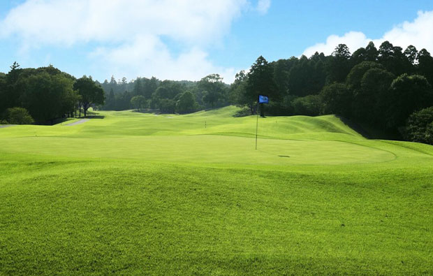 Glen Oaks Country Club Green