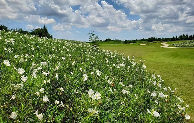 My Ozone Golf Club Flowers