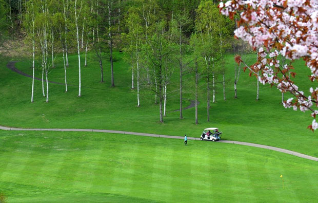 Niseko Golf Course Fairway