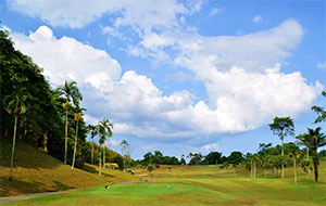 Palm Resort Golf Country Club - Allamanda Course
