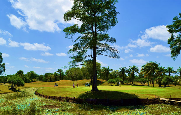 Palm Resort Golf Country Club Melati Course Green
