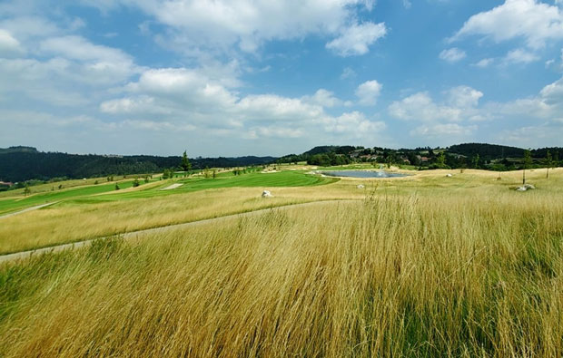 Panorama Golf Country Club Rough