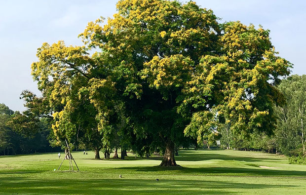 Royal Colombo Golf Club