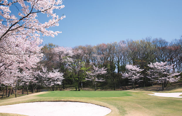 Ryosen Golf Club Cherry Blossom