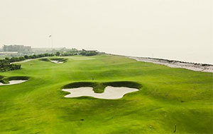 Sedayu Indo Golf 