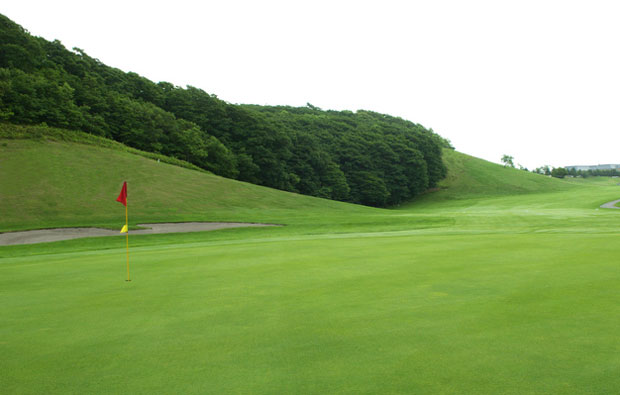 Shin-Chitose Country Club Green