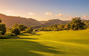 The Vista Country Club
