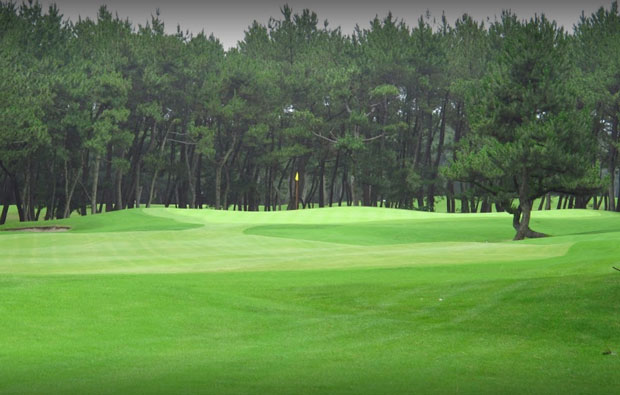 Tom Watson Golf Course Green