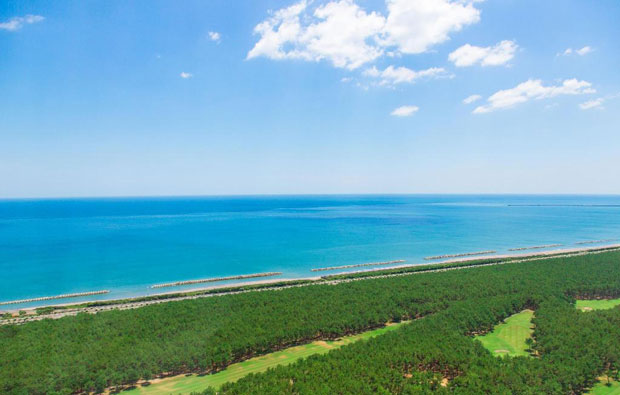 View from Sheraton Grand Ocean Resort