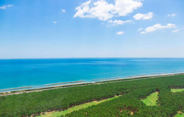 View from Sheraton Grand Ocean Resort