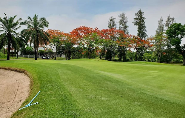green, windsor park golf club, bangkok, thailand