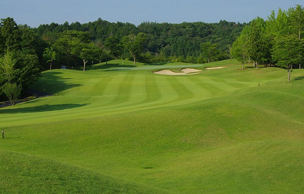 Windsor Park Golf and Country Club Fairway