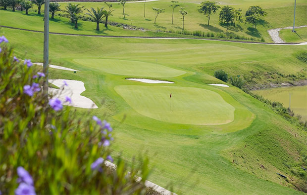 Amber Hills Golf & Resort Green